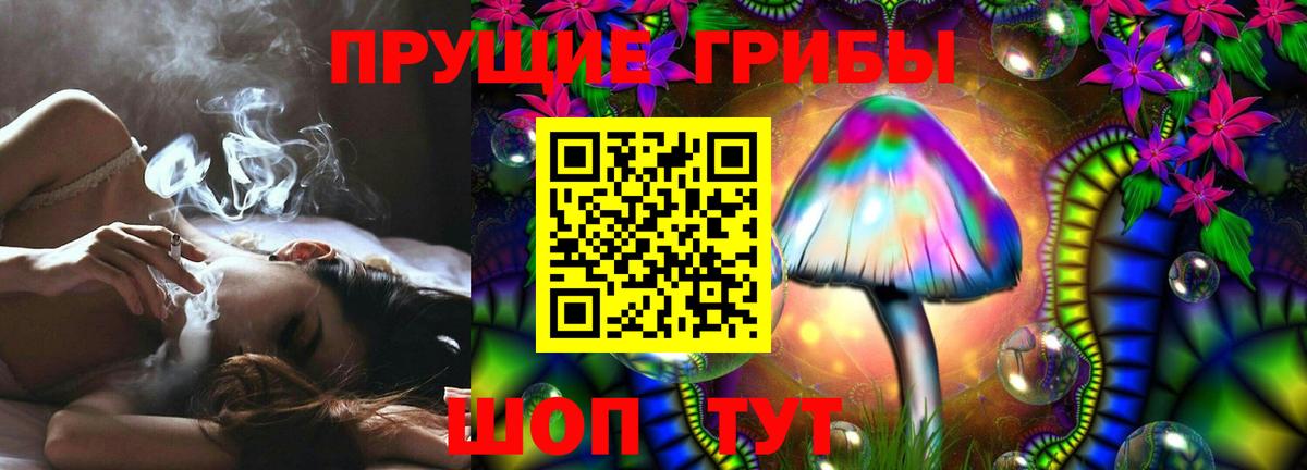 Галлюциногенные грибы GOLDEN TEACHER Кизляр